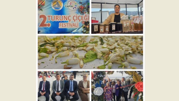 Turunç Çiçeği Festivali başladı