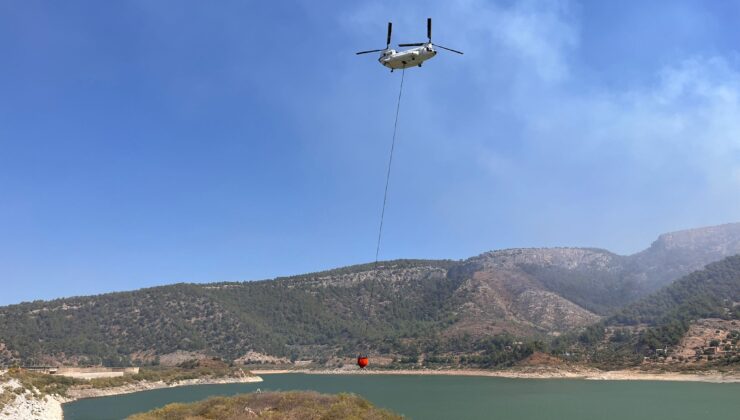 Muğla’nın Milas ilçesinde orman yangını çıktı